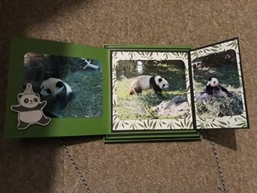 Scrapbooking Scrapbooking